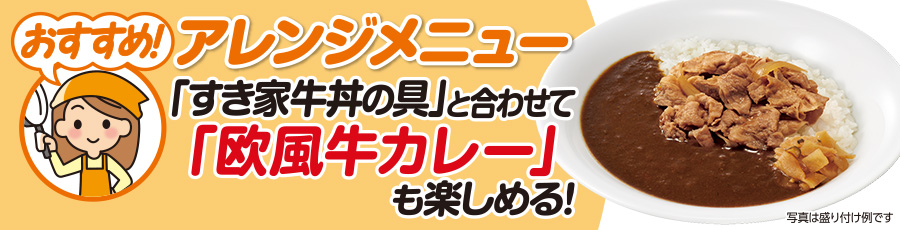 すき家 食べ比べセット5種10食 横濱カレー